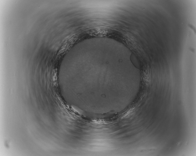 X0000102230818200808151727