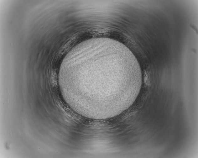 X0000102230819200808151727