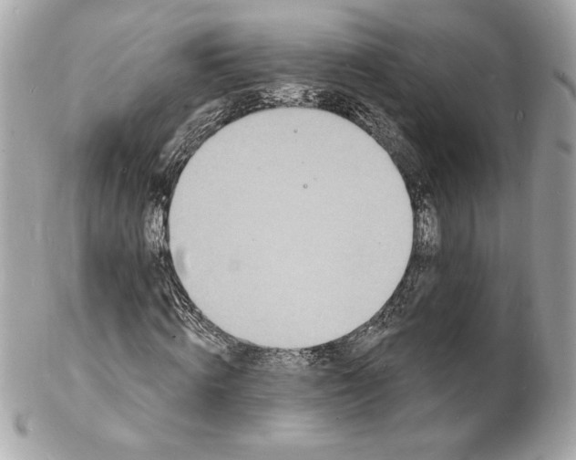 X0000102230820200808151727