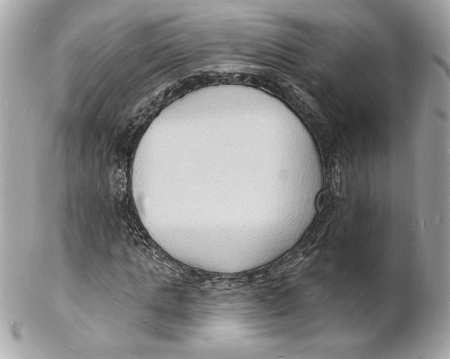 X0000102230821200808151727