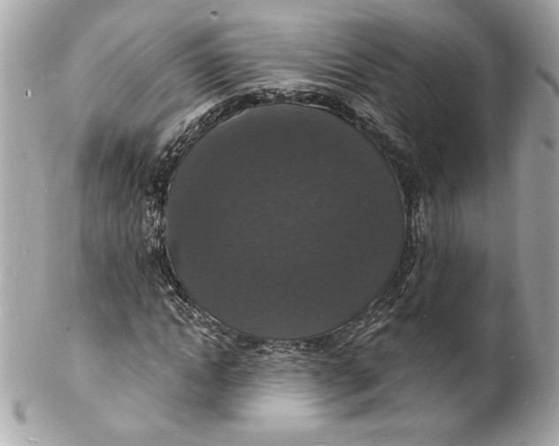 X0000102230822200808151727