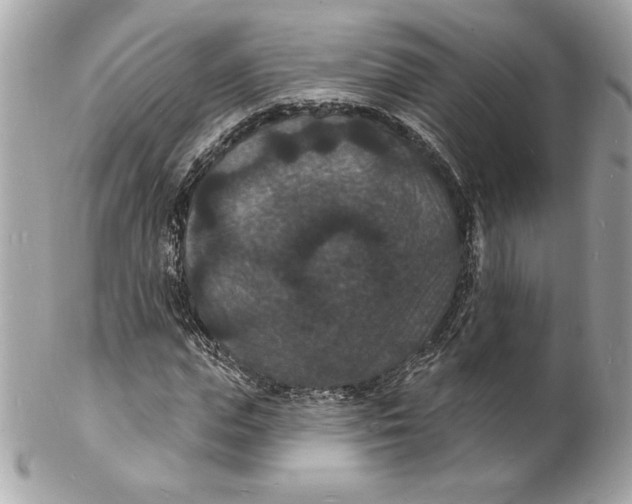 X0000102230823200808151727