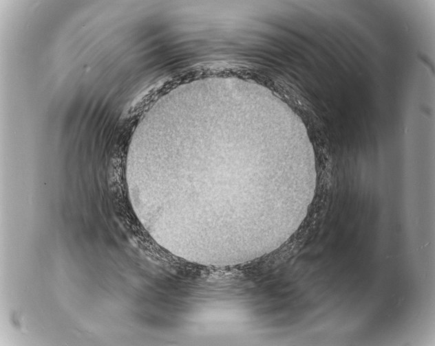 X0000102230824200808151727