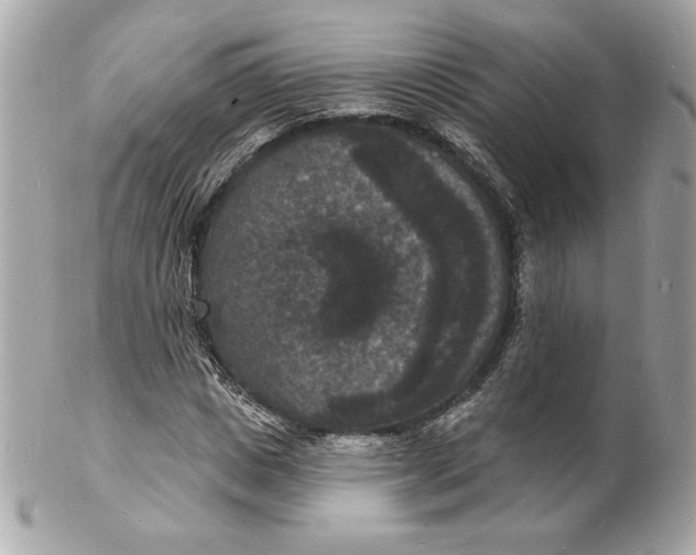 X0000102230825200808151727