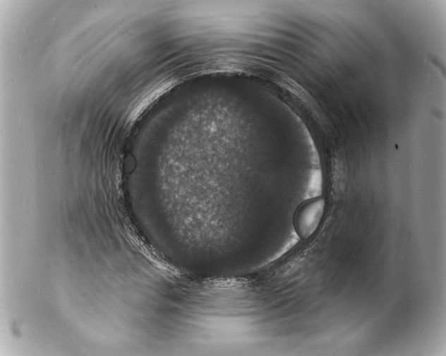 X0000102230826200808151727