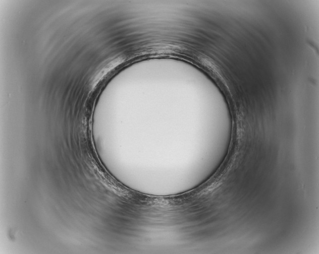 X0000102230827200808151727