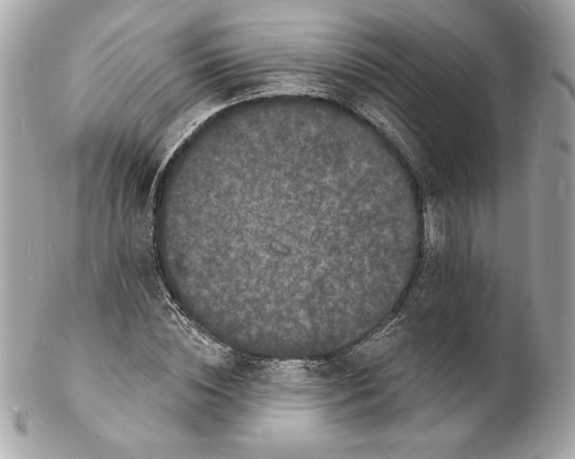 X0000102230828200808151727