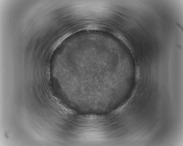 X0000102230829200808151727