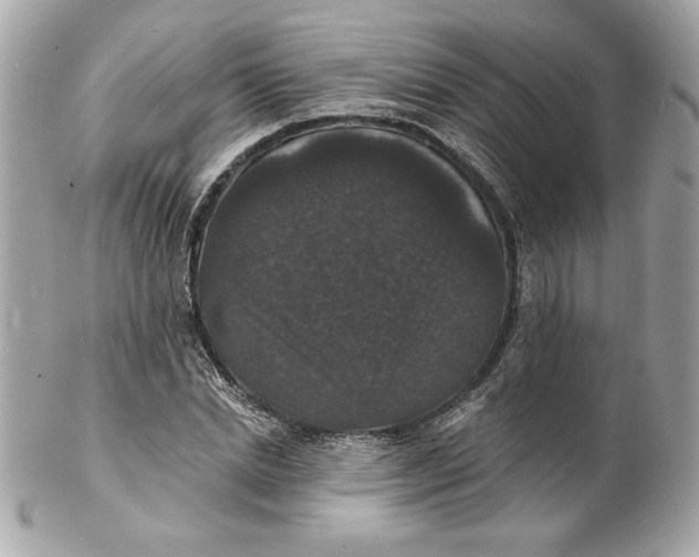 X0000102230830200808151728