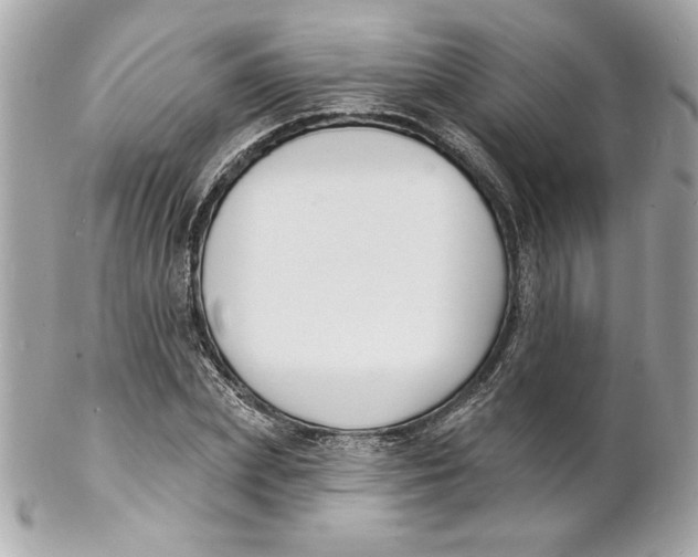 X0000102230831200808151728