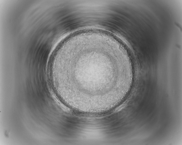 X0000102230832200808151728