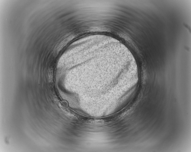 X0000102230833200808151728
