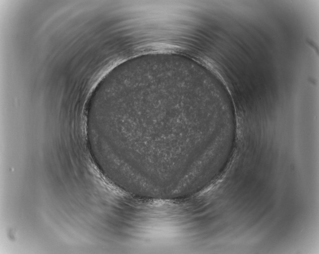 X0000102230835200808151728