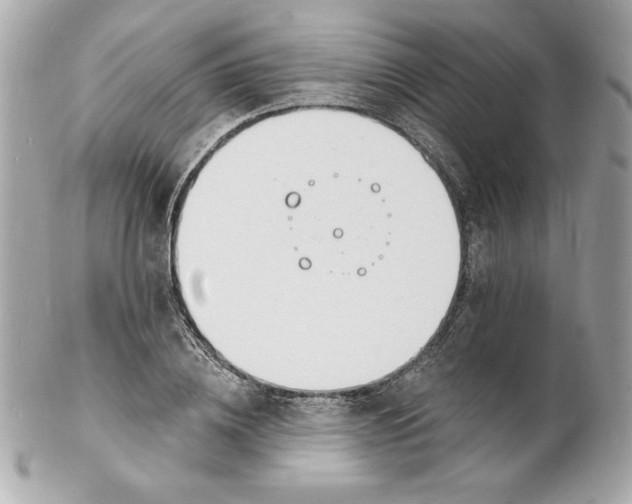 X0000102230836200808151728