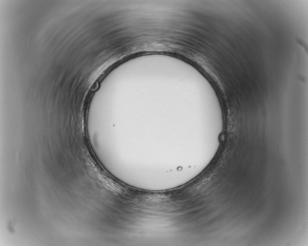 X0000102230837200808151728