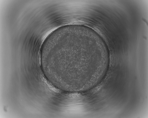 X0000102230838200808151728