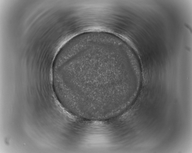X0000102230839200808151728