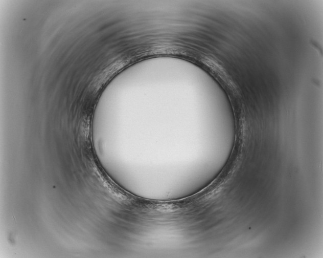 X0000102230841200808151728
