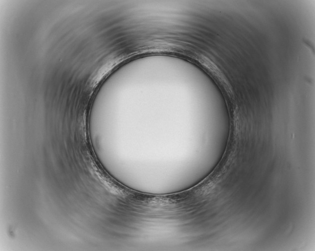 X0000102230842200808151728