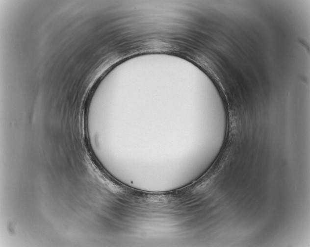 X0000102230843200808151728