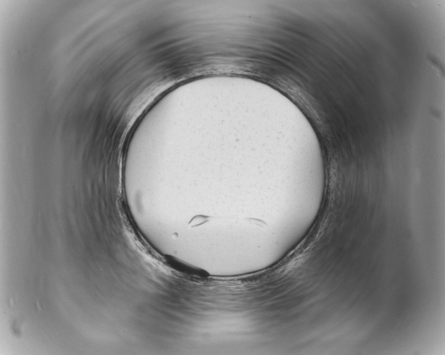 X0000102230844200808151728
