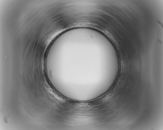 X0000102230846200808151728