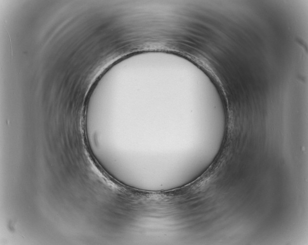 X0000102230847200808151728