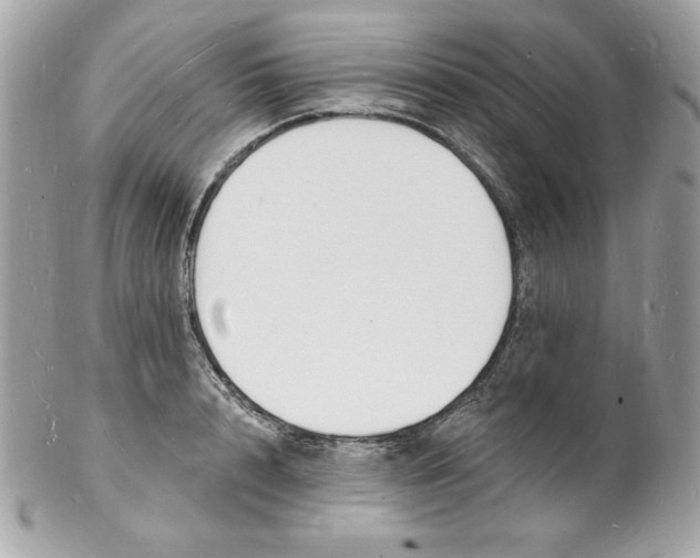 X0000102230848200808151728