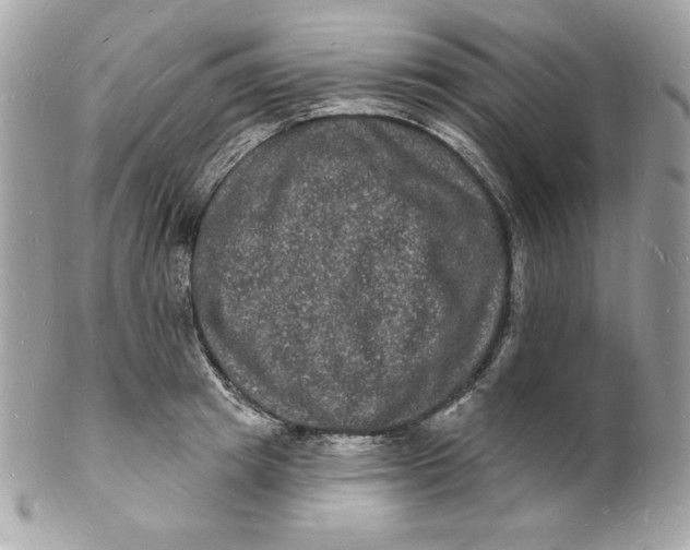 X0000102230849200808151728
