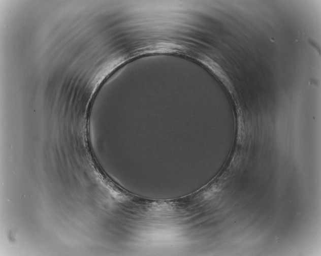 X0000102230850200808151728