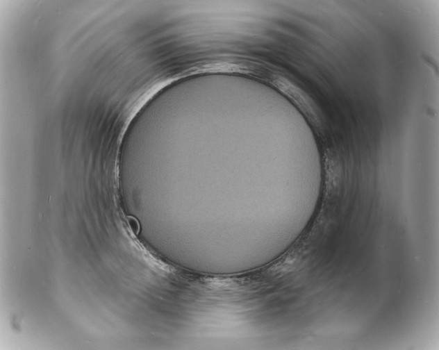 X0000102230852200808151728