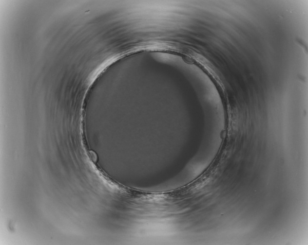 X0000102230853200808151728