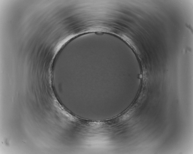 X0000102230854200808151728