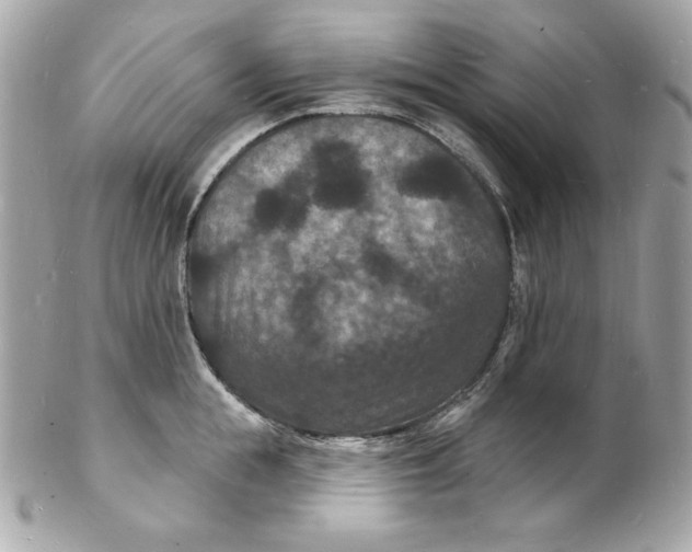 X0000102230855200808151728