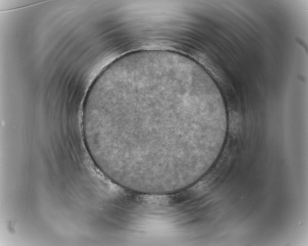 X0000102230856200808151728