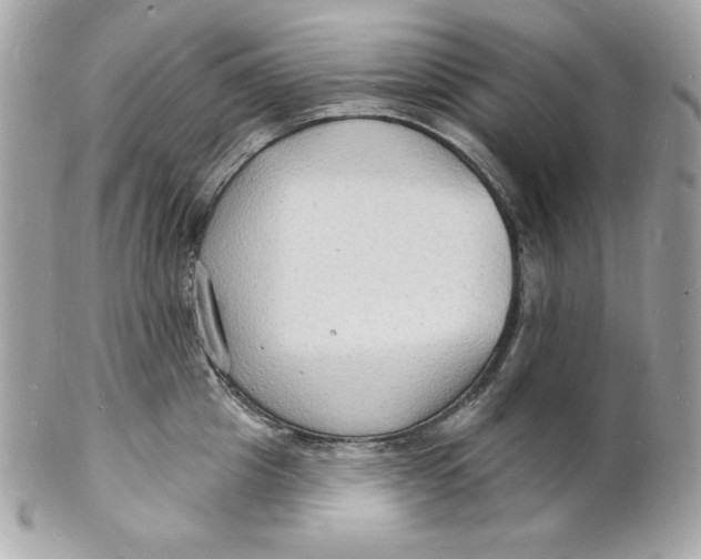 X0000102230857200808151728