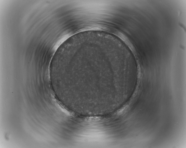 X0000102230858200808151728
