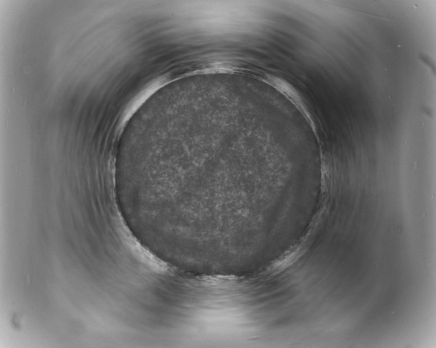 X0000102230859200808151728