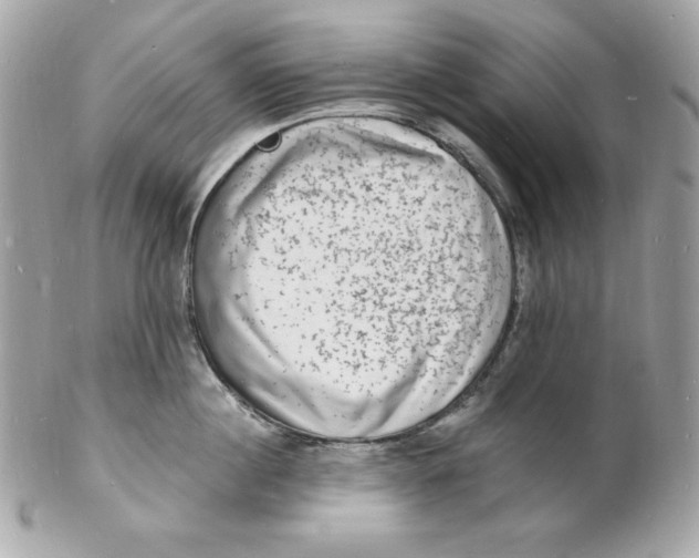 X0000102230860200808151728