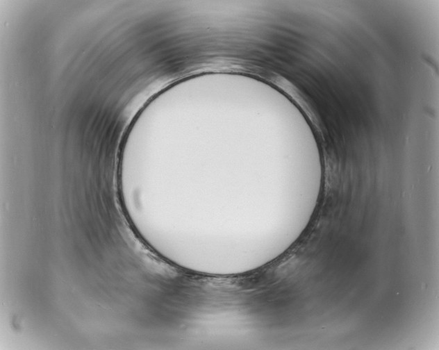 X0000102230861200808151728