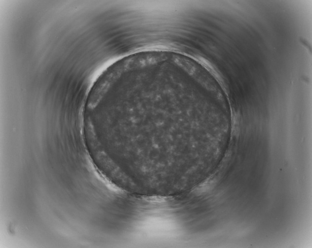 X0000102230862200808151728