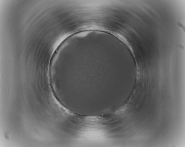 X0000102230863200808151728