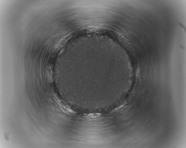 X0000102230868200808151727
