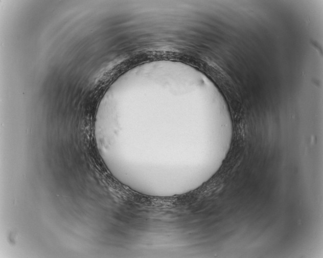 X0000102230870200808151727