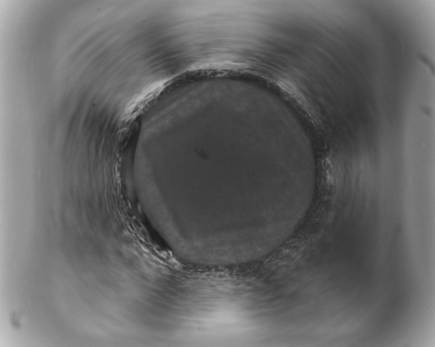 X0000102230872200808151727