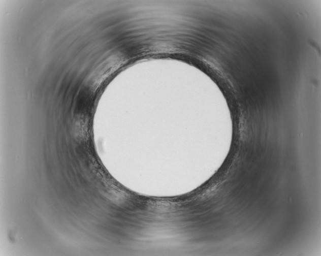 X0000102230873200808151727