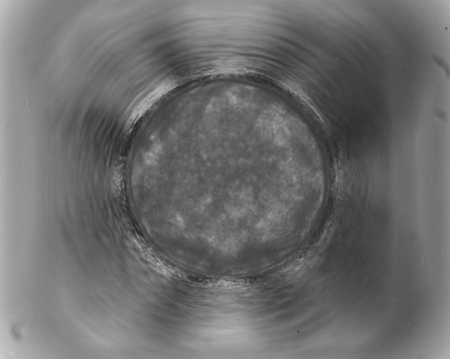 X0000102230874200808151727
