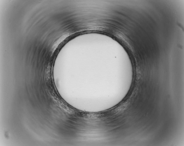 X0000102230875200808151727