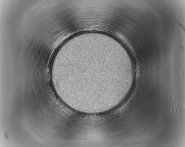 X0000102230876200808151727