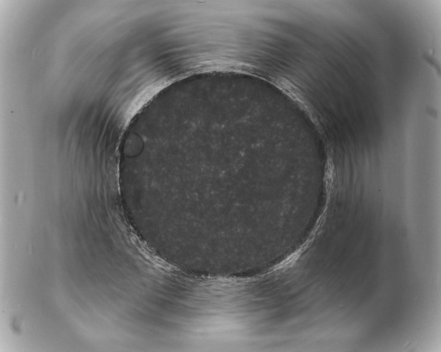 X0000102230877200808151727